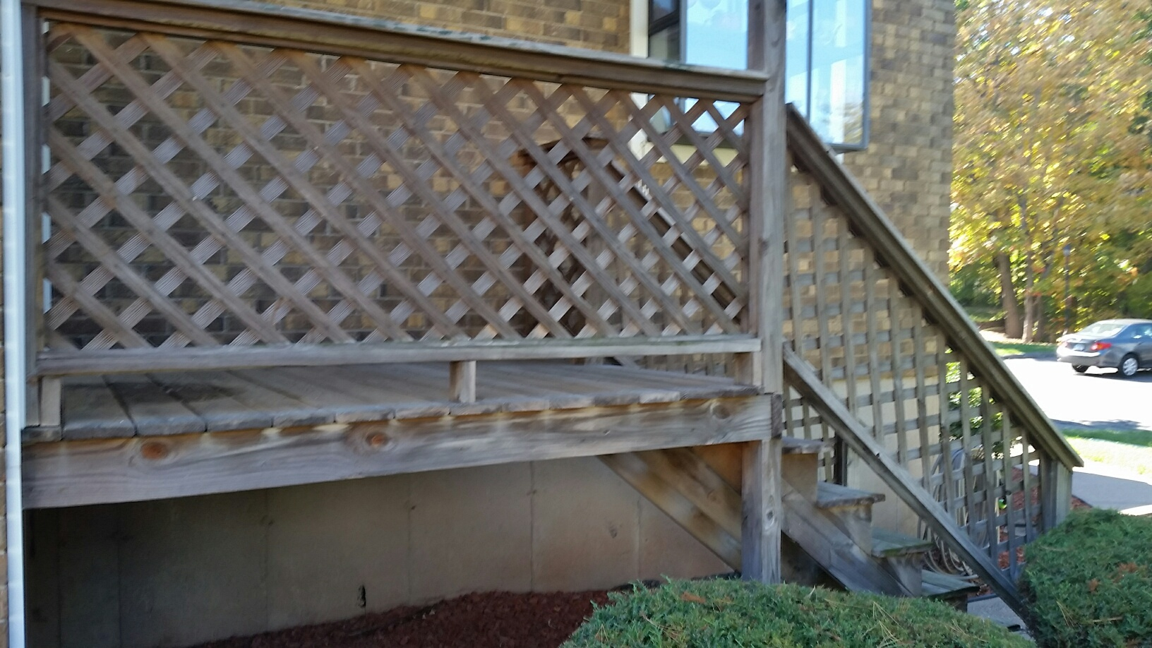 House washing — clean siding after soft-wash treatment